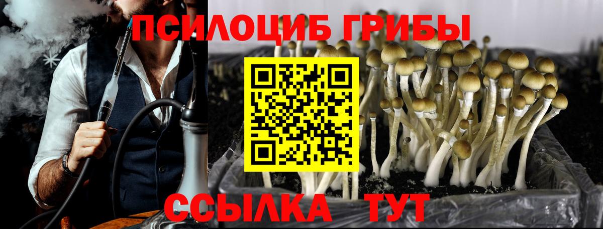 Новодвинск  Псилоцибиновые грибы Magic Shrooms  Вход с VPN  Псилоцибиновые грибы GOLDEN TEACHER 