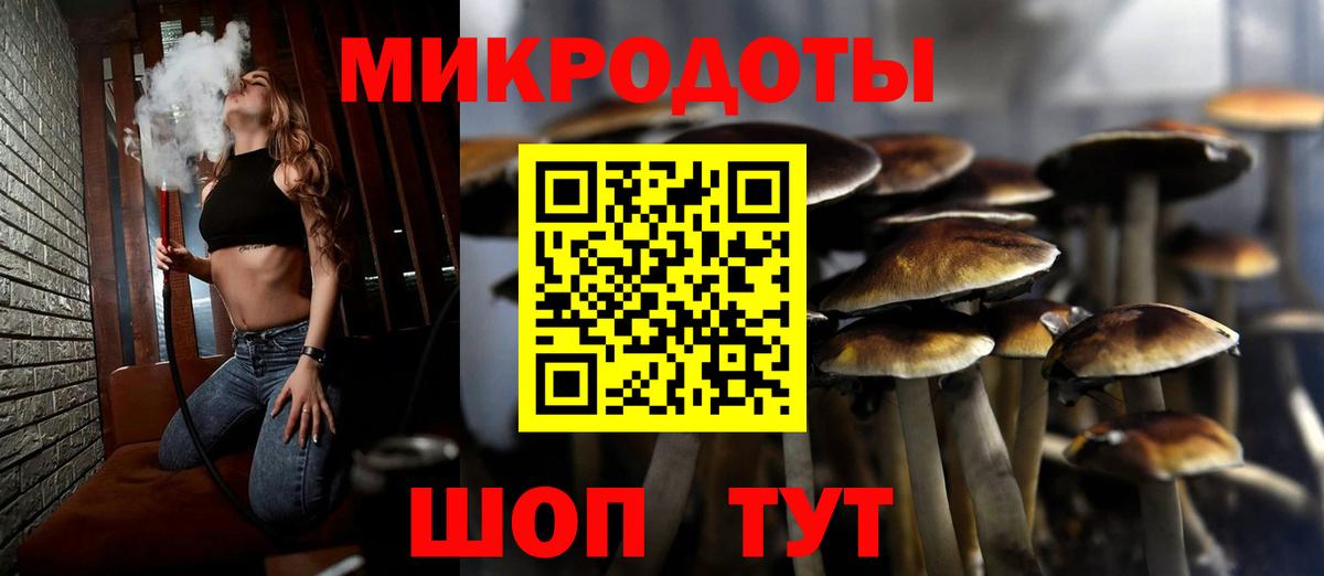 Псилоцибиновые грибы Psilocybe Новодвинск